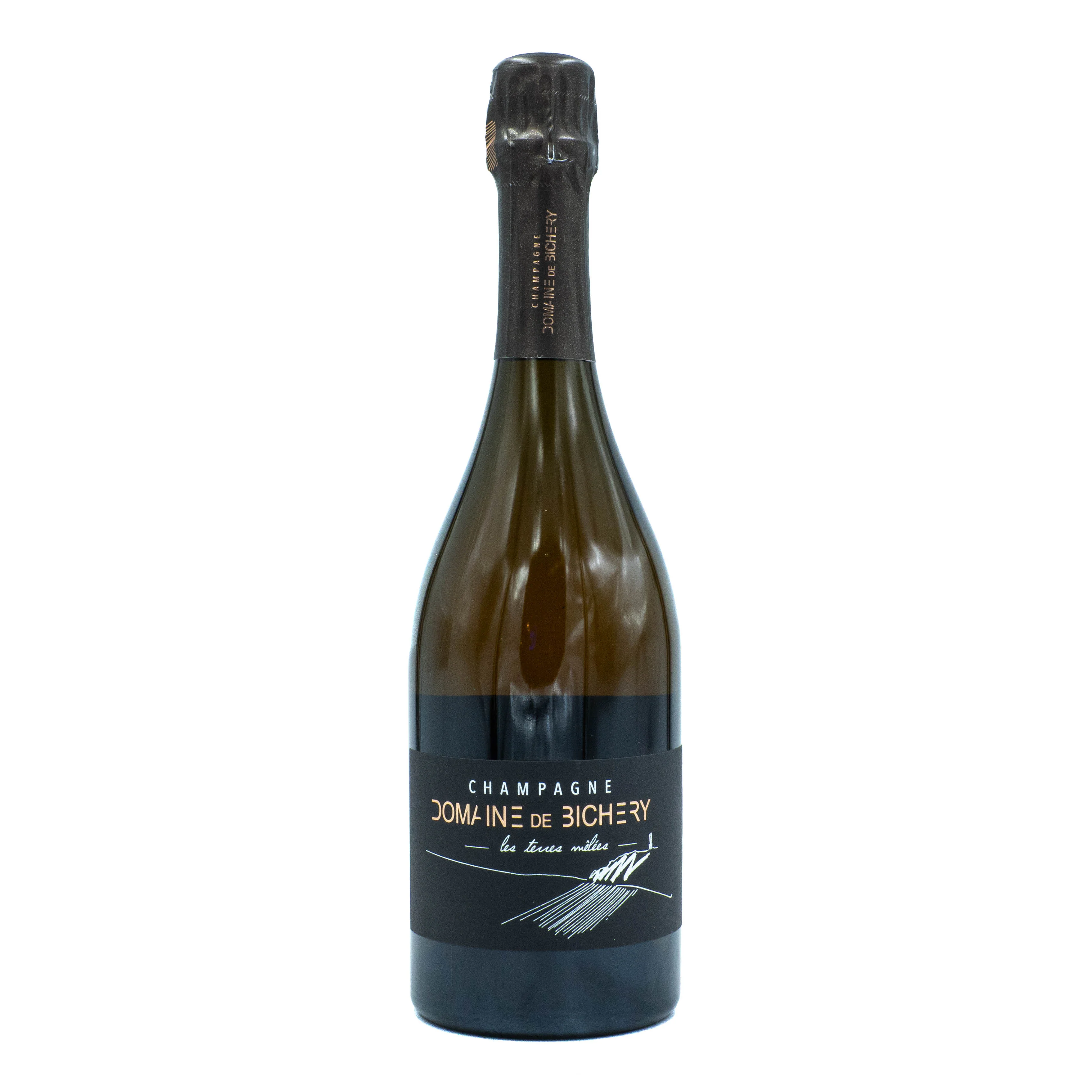 Domaine de Bichery Champagne Les Terres Melees Brut Nature