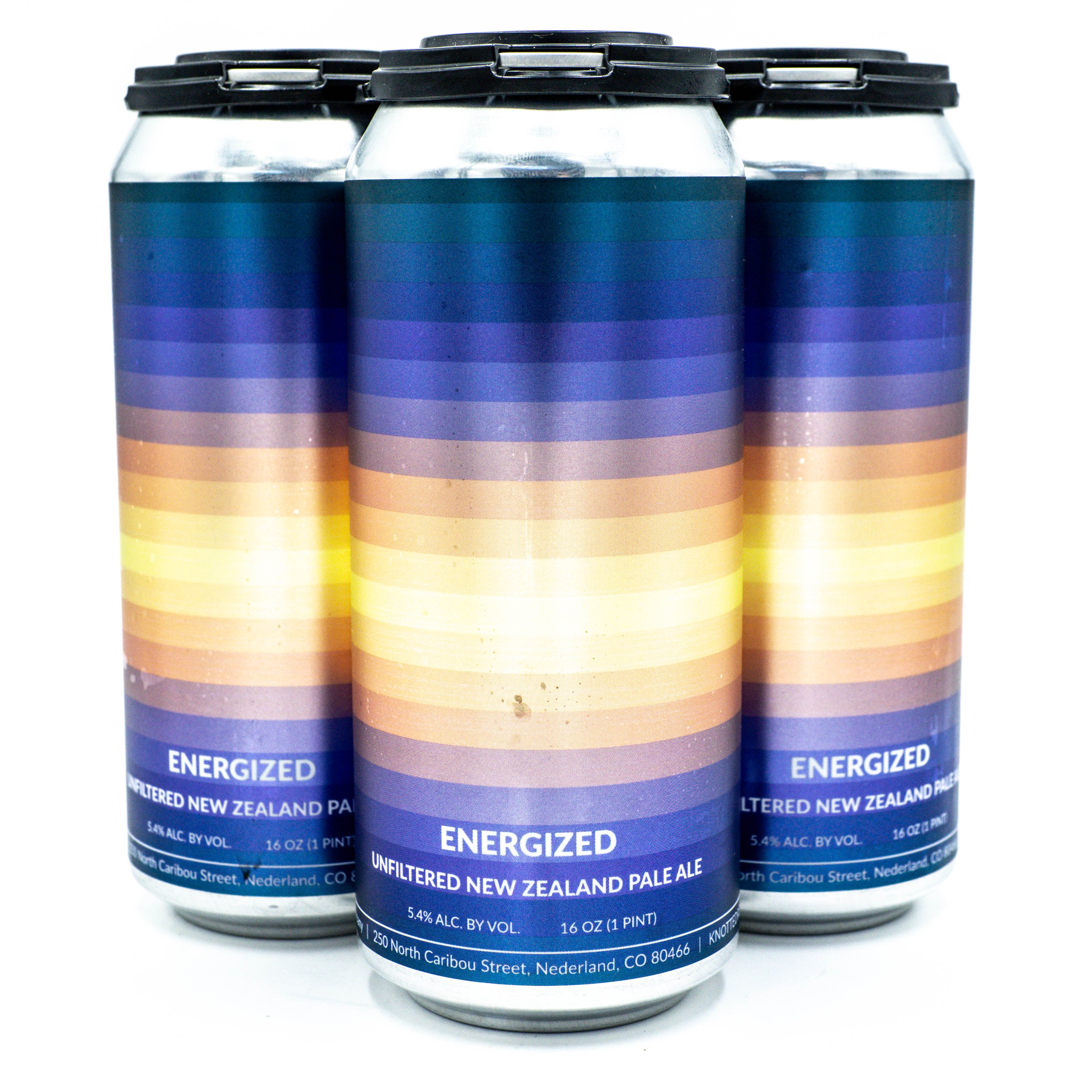 Knotted Root Energized Pale Ale 4pk