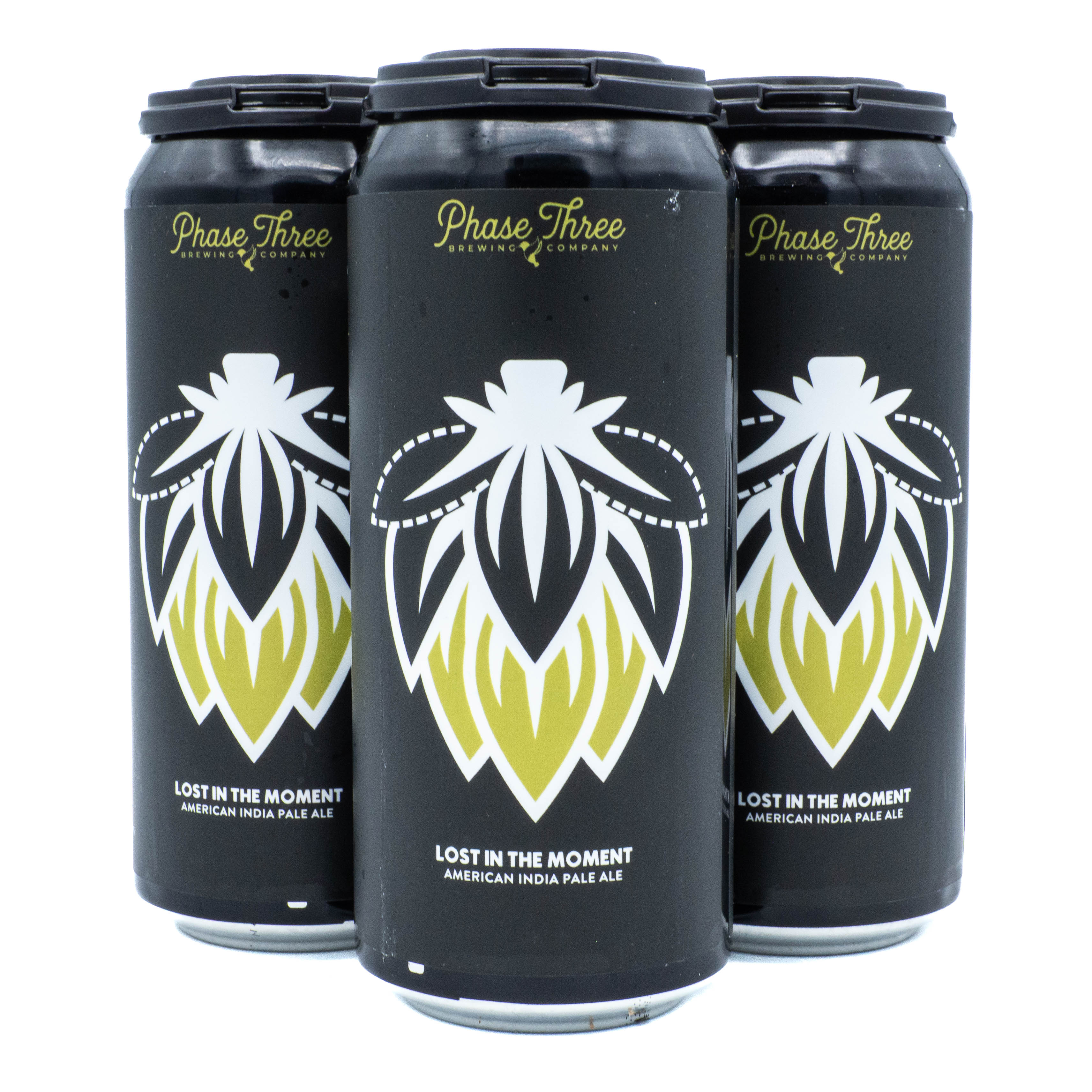 Phase Three Lost in the Moment Pale Ale 4pk