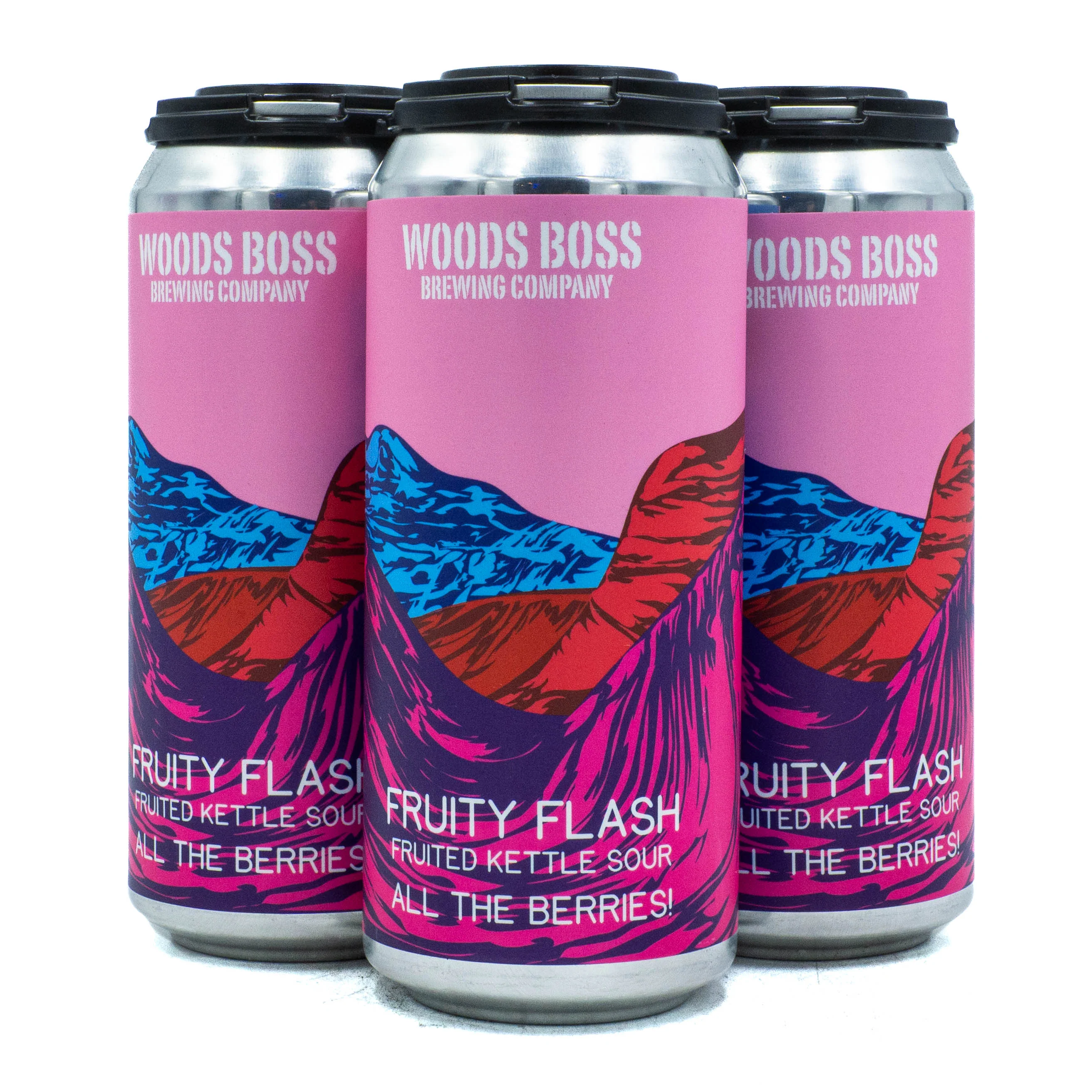 Woods Boss Fruity Flash All the Berries Sour Ale 4pk